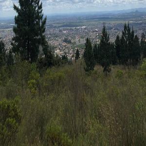 领导扒开我奶罩吸我奶头视频视频
